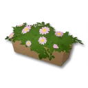 特色中型長方形花盆裝飾箱