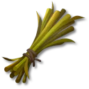 長莖稈