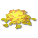 黃色真色草花瓣