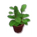 舒適小花盆裝飾箱