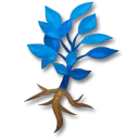 魔力藥草