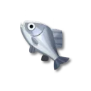 銀鯽魚