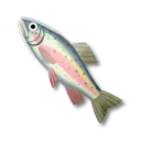 彩虹鱒魚