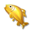黃金鯉魚