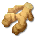 生薑