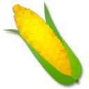 玉米