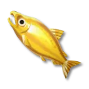黃金鮭魚