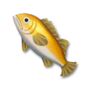 金鱗魚