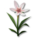 鎮靜草