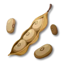 黃豆