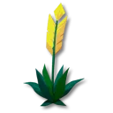 箭花