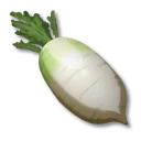 白蘿蔔