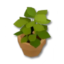 簡潔小型花盆裝飾箱