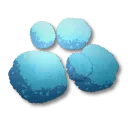 淨淨蘑菇孢子