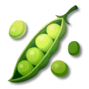 豌豆