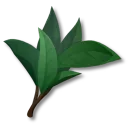 茶葉