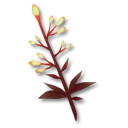 起舞的花枝