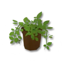 獨特的小花盆裝飾箱
