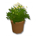 獨特的中型花盆裝飾箱