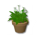 樸素中型花盆裝飾箱